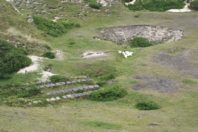 Photographs Of National Explosives (Photo ref 20246)