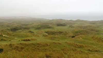 Earthworks
