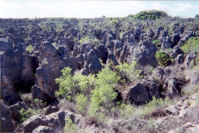 Photographs Of Nauru Phosphate