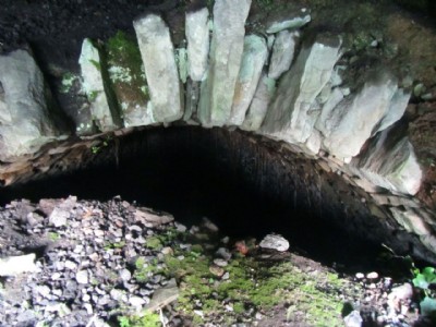 Photographs Of Neath Abbey Ironworks