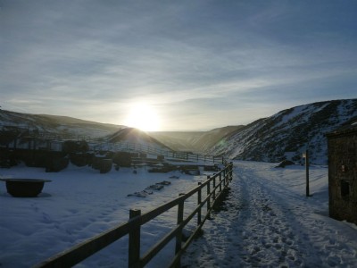 Up the valley