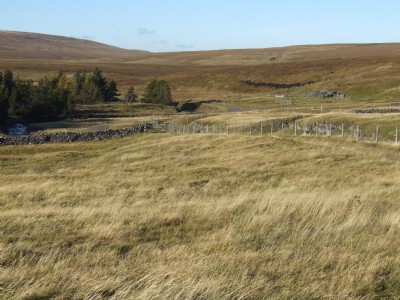General view looking down on the site
