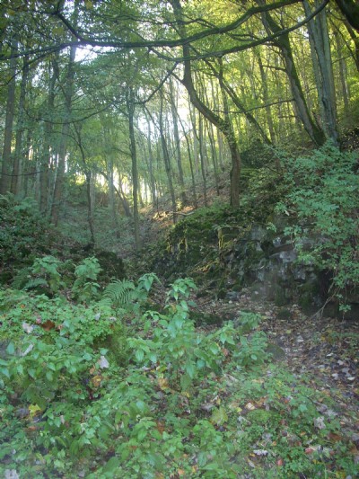 Nettler Dale