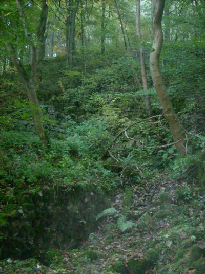 Lower Eastern Trial