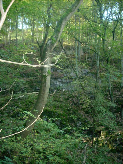 Lower Western Trial