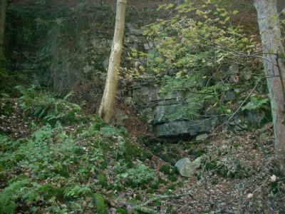 Upper Trial
