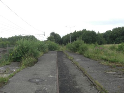 Siding