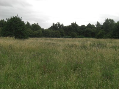 Site for proposed drifts July 2017