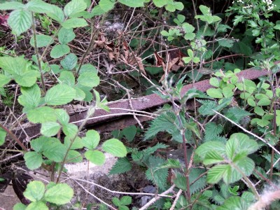 19.05.10 New London colliery- old tram rail