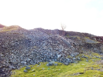 Flue and remains
