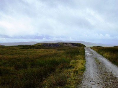 Photographs Of New Moss