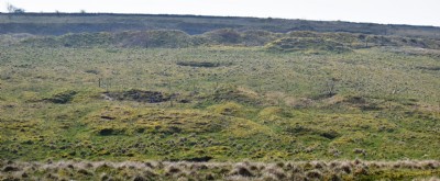 Photographs Of New Rake Bottom