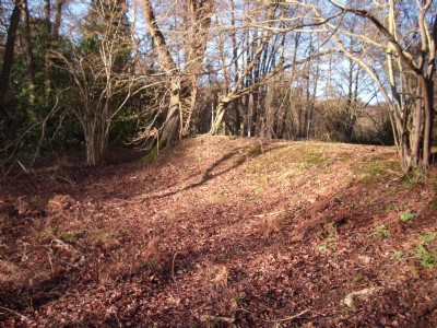 Photographs Of Newbridge Furnace