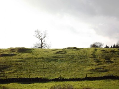 Photographs Of Newclose