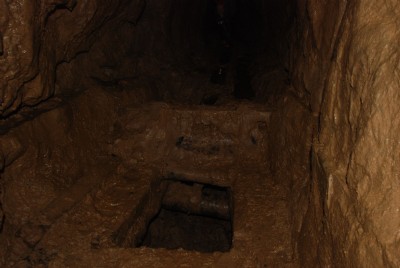 Photographs Of Nickergrove