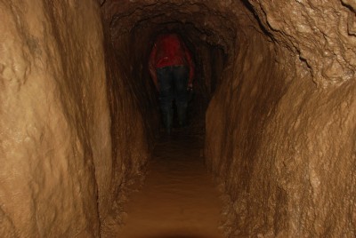 Walking along the level