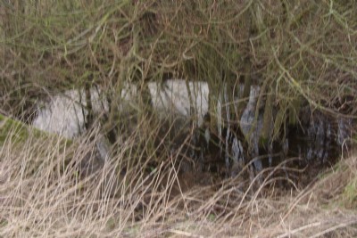 Site of air shaft