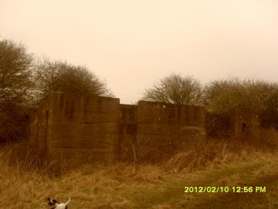 Photographs Of Nigel