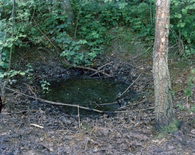 Historic Photographs Of Noddings Farm Minepits