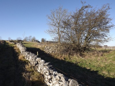 Photographs Of Nogg