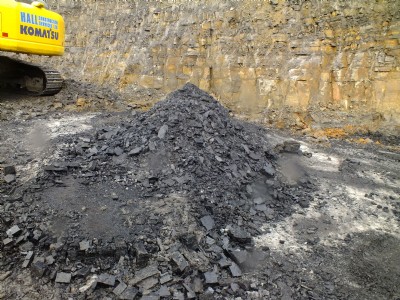 Photographs Of North Elswick Colliery