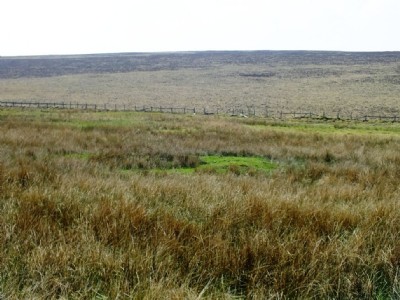 Shaft hollow