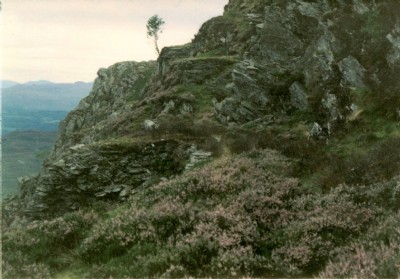 Nyth-y-Gigfran 1980s - Platforms