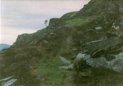 Nyth-y-Gigfran 1980s - Platforms