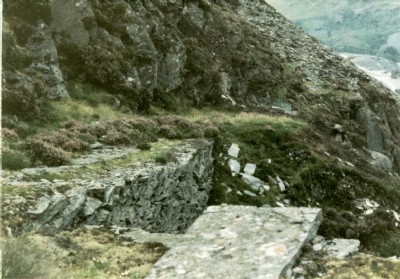 Nyth-y-Gigfran 1980s - Platforms