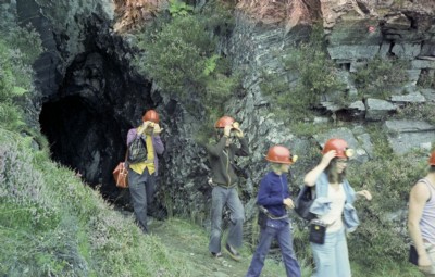 Nyth-Gigfran 1980s - Visitors emerging.