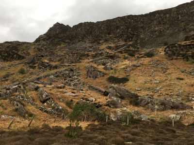 Photographs Of Nyth Y Gigfran