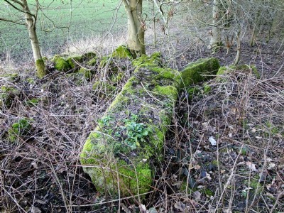 27.02.11 Oakerthorpe East (aka Speedwell) Colliery - Shaft and Pumping Engine Site, further engine house stonework