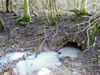 27.02.11 Oakerthorpe East (aka Speedwell) Colliery - Shaft and Pumping Engine Site, Surface drain into site