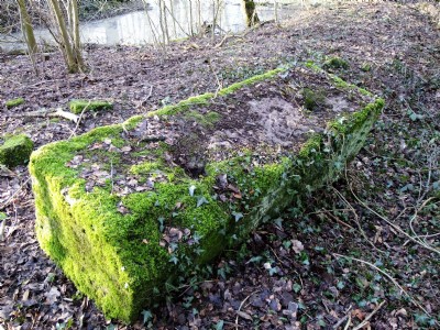 27.02.11 Oakerthorpe East (aka Speedwell) Colliery - Shaft and Pumping Engine Site