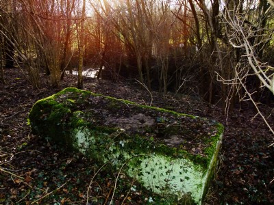 27.02.11 Oakerthorpe East (aka Speedwell) Colliery - Engine bed stone, Shaft and Pumping Engine Site behind