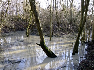 27.02.11 Oakerthorpe East (aka Speedwell) Colliery - Shaft and Pumping Engine Site