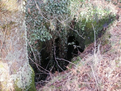 Ogof Wyddon