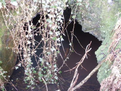 Ogof Wyddon