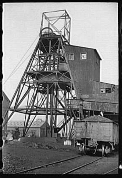 Old Ben No. 8