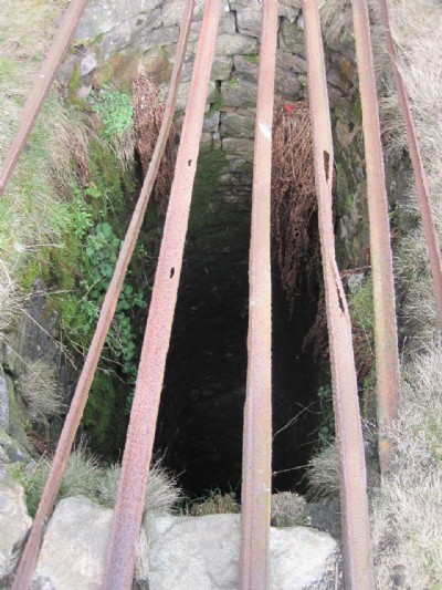 Shaft