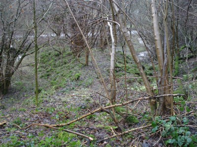 Photographs Of Old Gells Sough