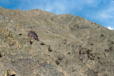 Old Hundred Mine