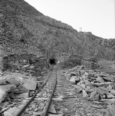 Level portal 1981