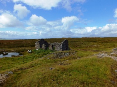 Ruined building