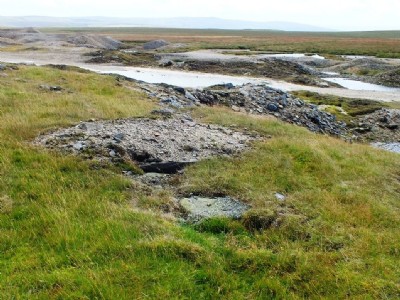 Photographs Of Old Moss