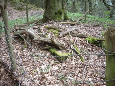 Photographs Of Old Pasture