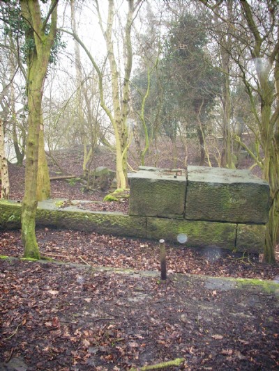 Photographs Of Old Sovereign