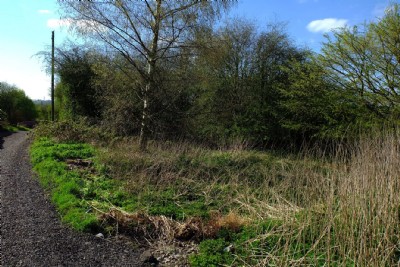 Photographs Of Old Wharf No1