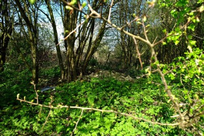 Skegby Old Wharf Pit top