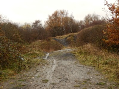 Oldnall Colliery Tips